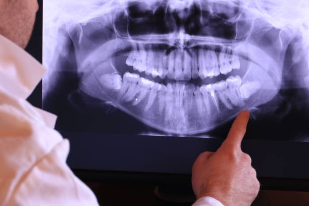 Best Emergency X-Rays and Diagnostics in Heidelberg, PA